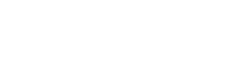 logo Videlio